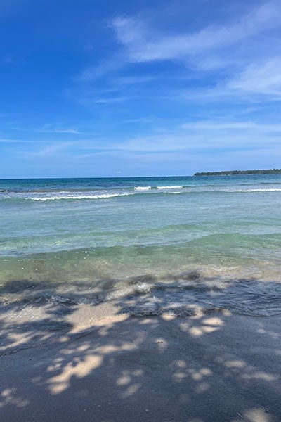 The beach