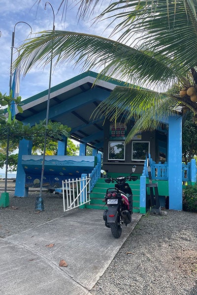Tropical gate
