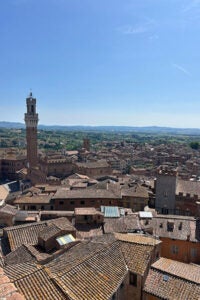 Panoramic view from the top of Siena's tower, showcasing the city's historic architecture and surrounding landscape. 